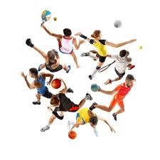 猛龙报价小萨博尼斯被国王拒绝